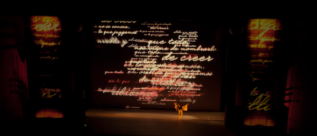 Lanzamiento de IDARTES