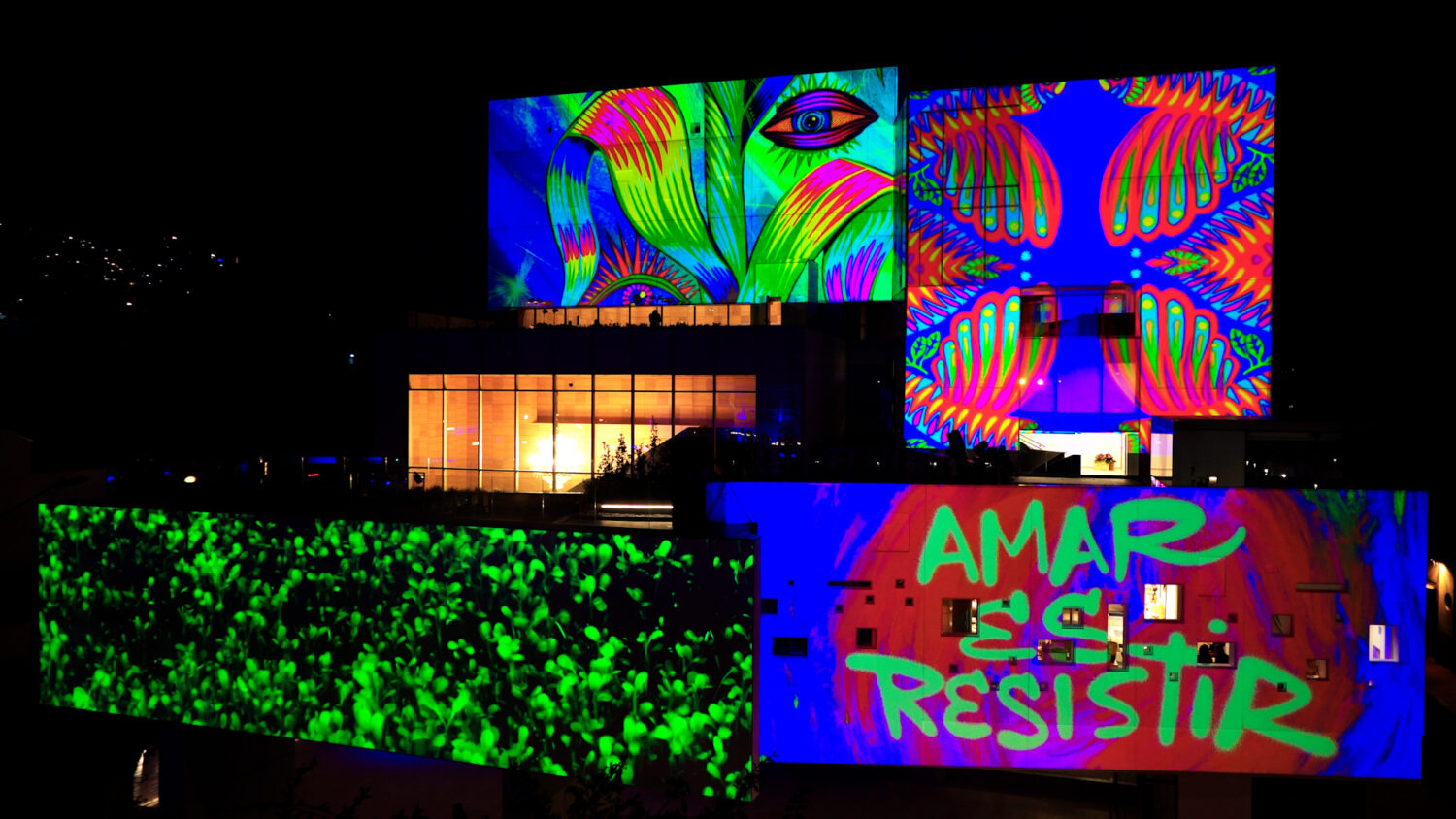 Lanzamiento Centro Nacional de las Artes Delia Zapata Olivella